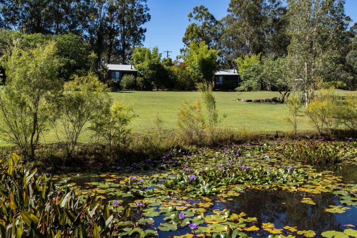 Tuckeroo Cabañas&Gardens Rathdowney Exterior foto