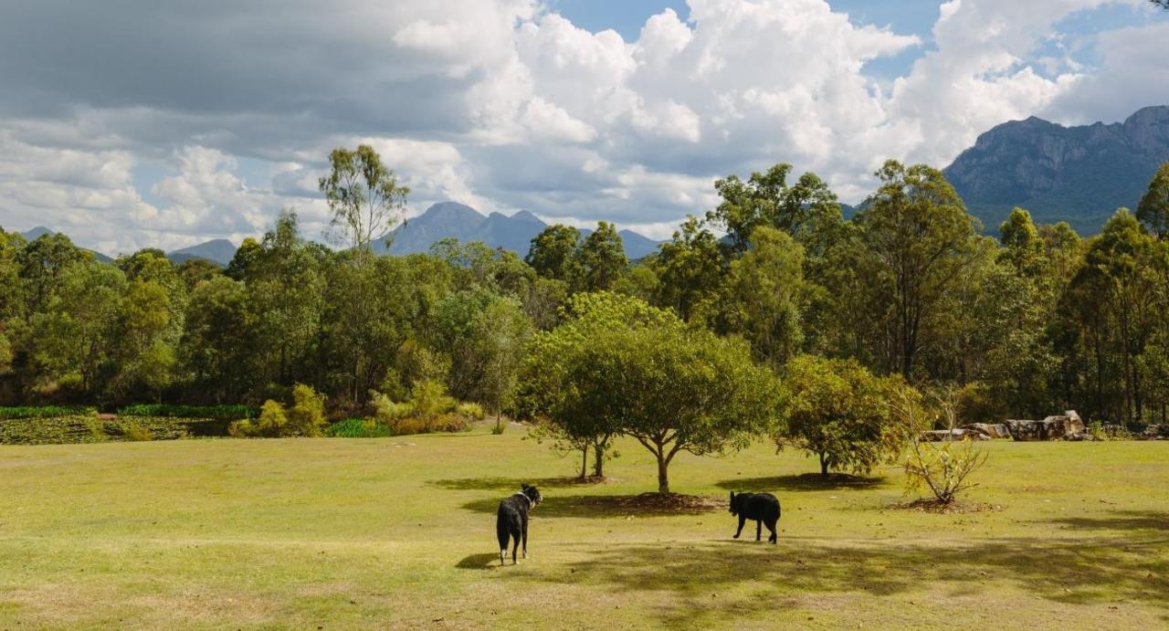 Tuckeroo Cabañas&Gardens Rathdowney Exterior foto